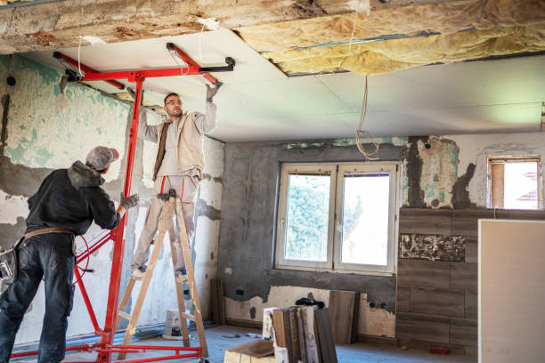 Best Commercial Insulation in La Huerta, NM