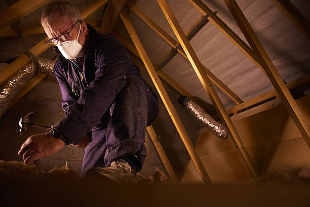 Best Insulation Materials and Products in La Huerta, NM