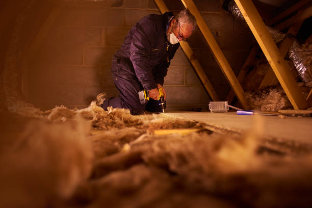 Best Types of Insulation in La Huerta, NM